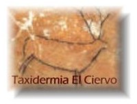 Taxidermia El Ciervo